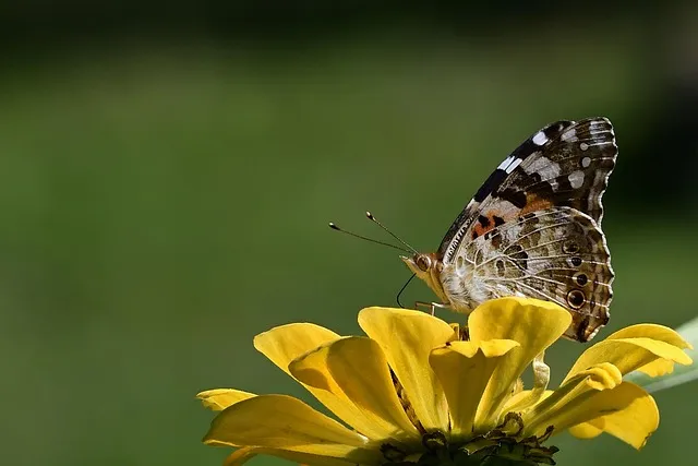 예수님의 십자가 구레네 사람 시몬의 이야기_9