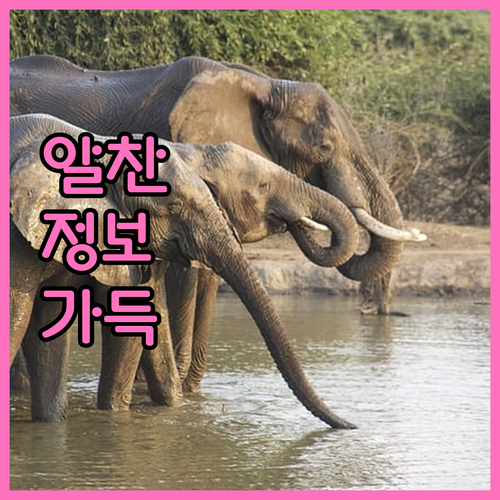 개인회생 전문 변호사가 알려주는 성공