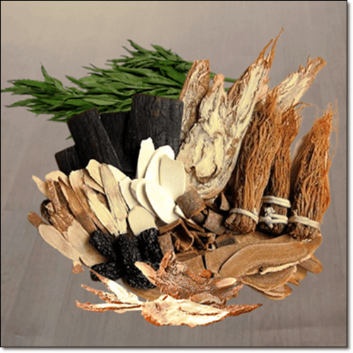 한약재와 구릿대