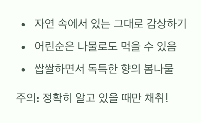 우리 곁의 소박한 야생화, 어떻게 즐길까?