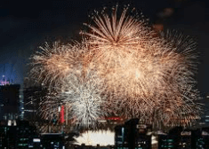 2024 여의도 불꽃축제 숨은 명당, 필수 준비물, 대중교통편