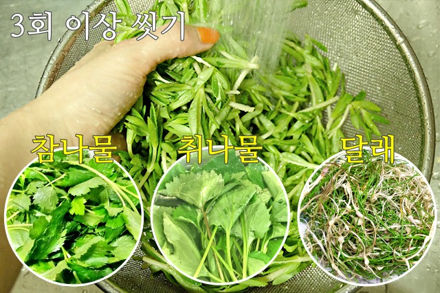 생으로 먹으면 안되는 봄나물,참나물 취나물 달래
