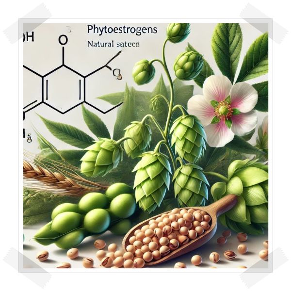 여성호르몬 영양제