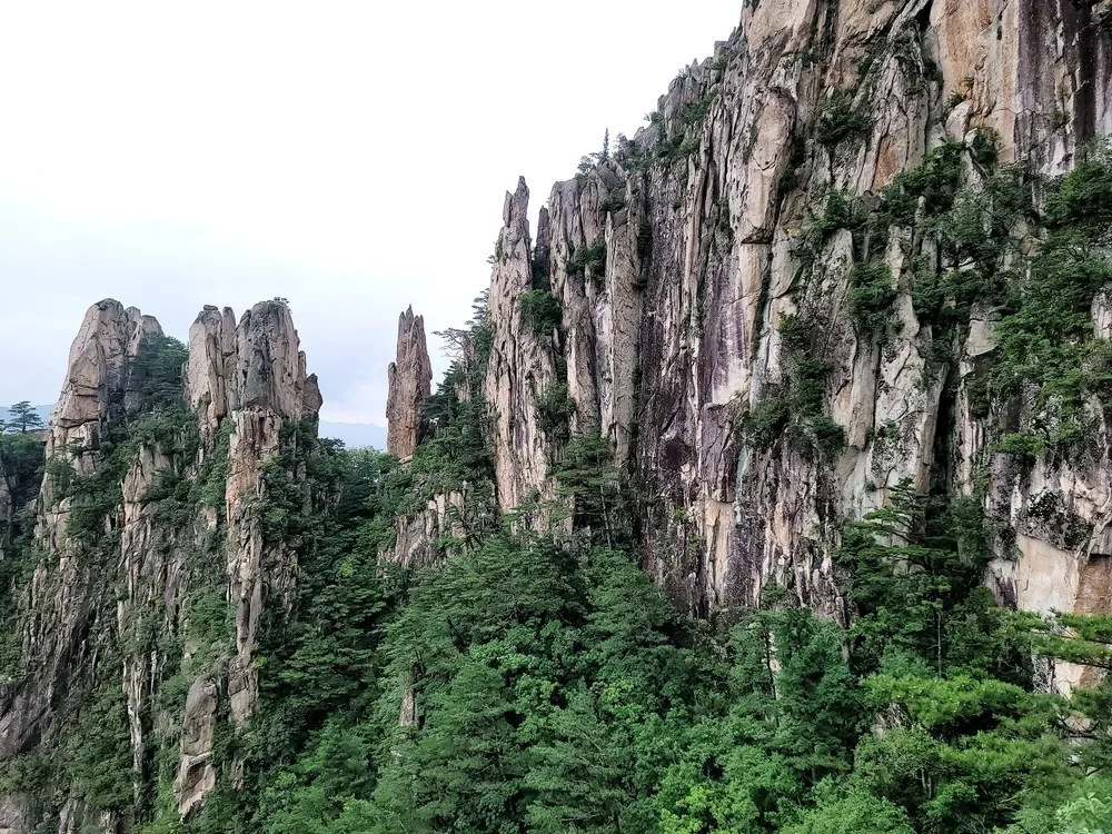 두타산 산행코스