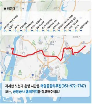 김해공항 리무진버스 노선표 요금 예약 노선별 정리_4