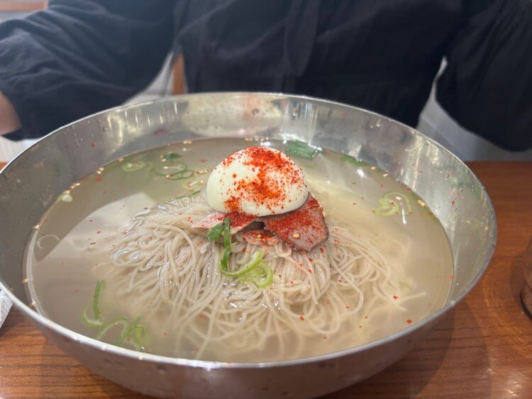 평양냉면 사진, 고명으로 파와 고기, 계란, 고춧가루가 올려져 있다.