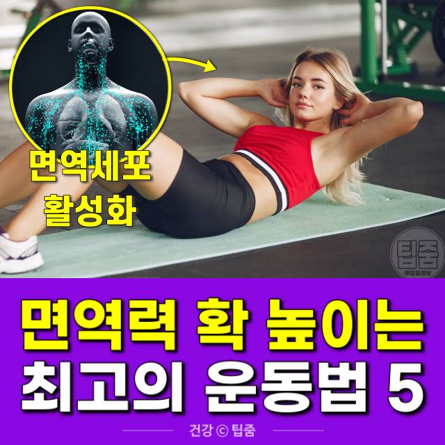 면역력 높이는 운동,면역력 높이는 방법,팁줌