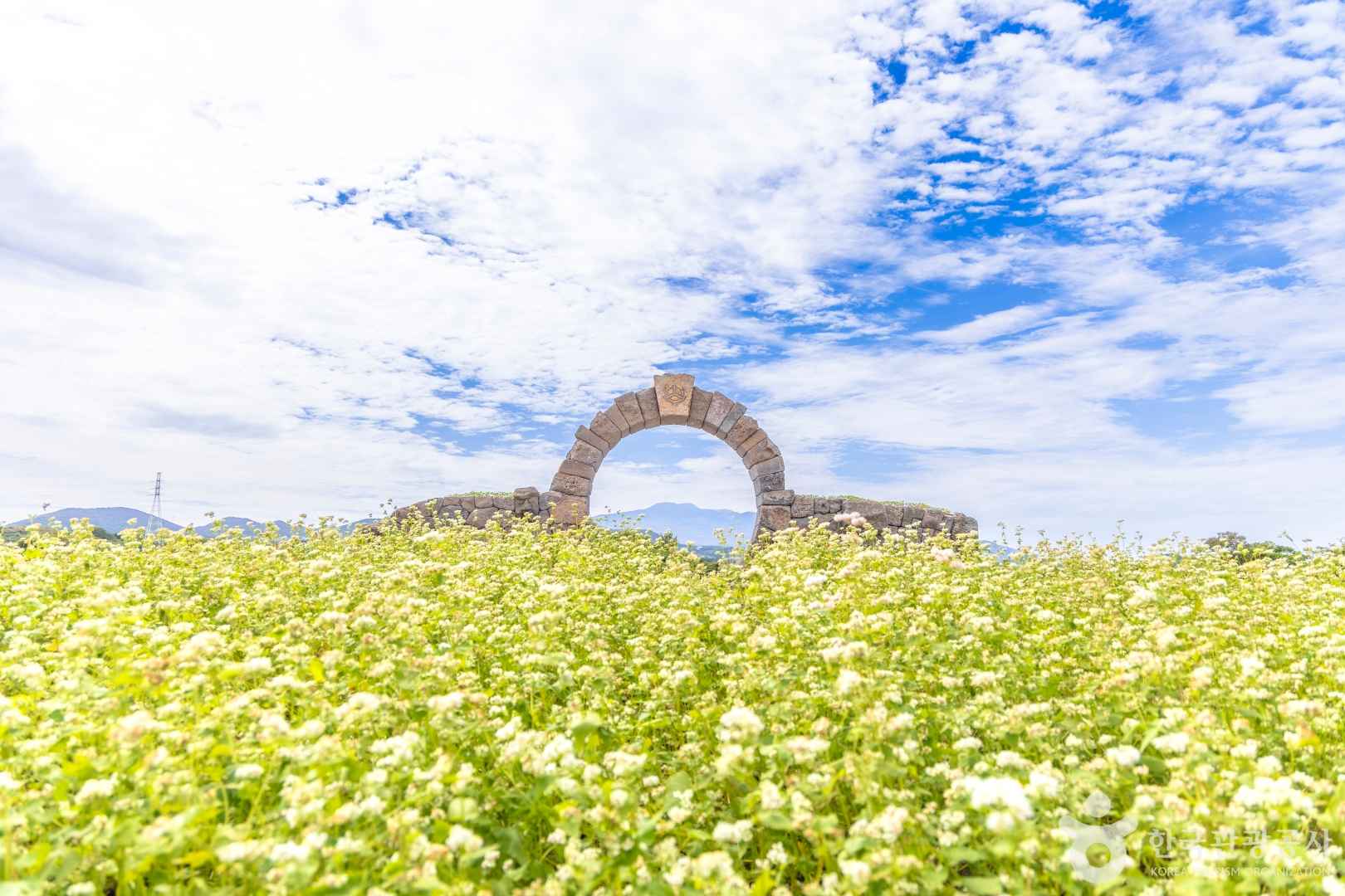 와홀메밀마을