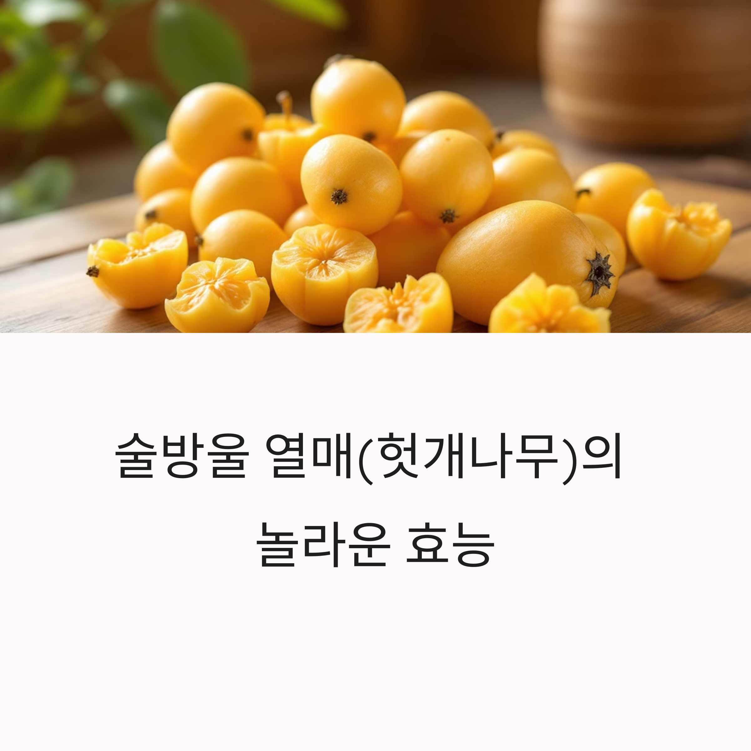 술방울 열매 효능