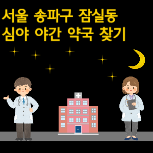 서울 송파구 잠실동 심야 야간 24시 약국 찾기