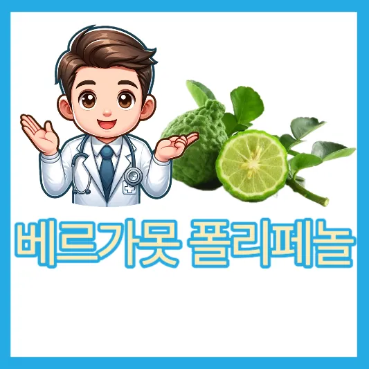 40~50대 우울증 해소 지중해식단 베르가못 폴리페놀 효능 추출물 부작용 베르가못 오일 향제대로 알기