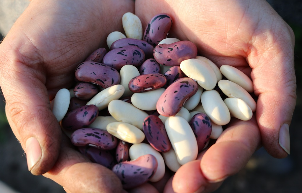 저혈압에 좋은 음식