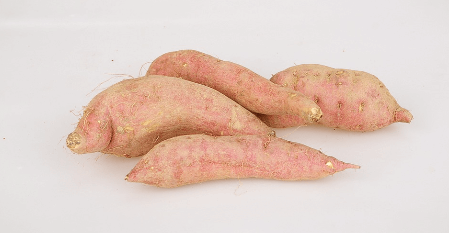 칼륨이 많은 음식 고구마 네 개가 놓여 있다