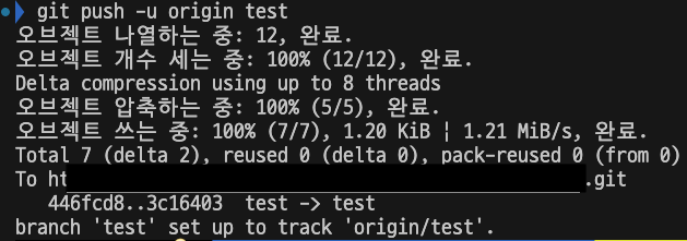 git push