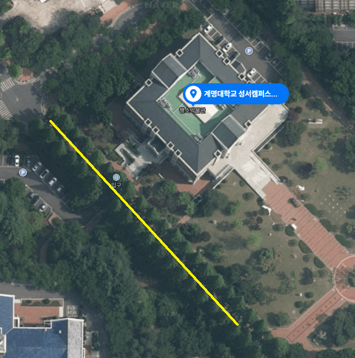 계명대학교 성서캠퍼스 메타세쿼이아 길