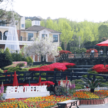 베어트리 파크 봄꽃축제와 관련된 사진