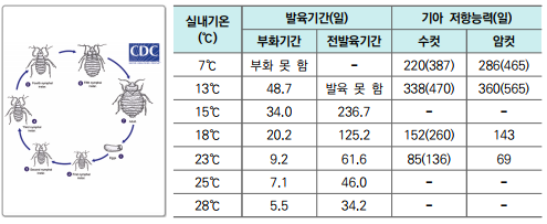 빈대 퇴치법과 효과적인 빈대 퇴치제