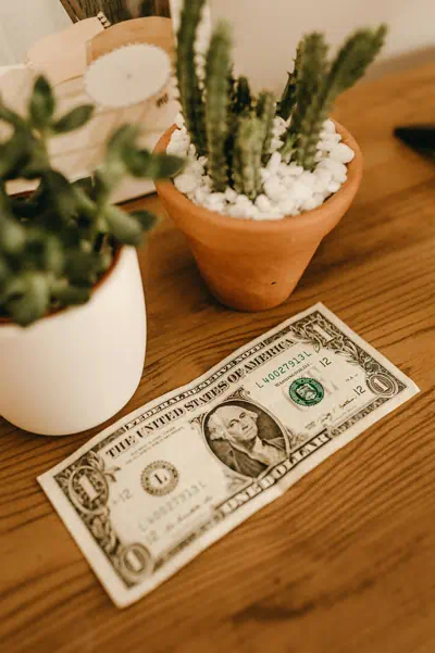 돈과 화분의 모습