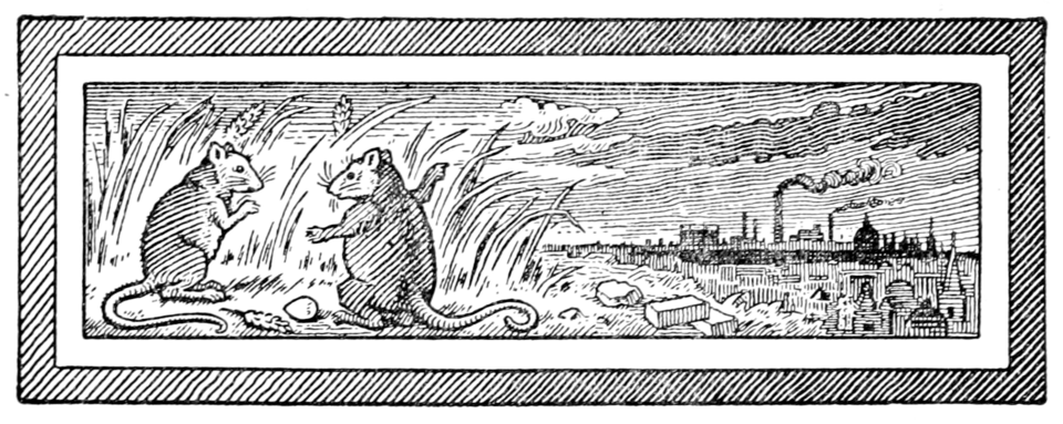 The-Town-Mouse-and-the-Country-Mouse