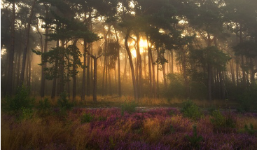 해돋이 명소[서울&amp;#44; 경기지역] 해돋이 시간