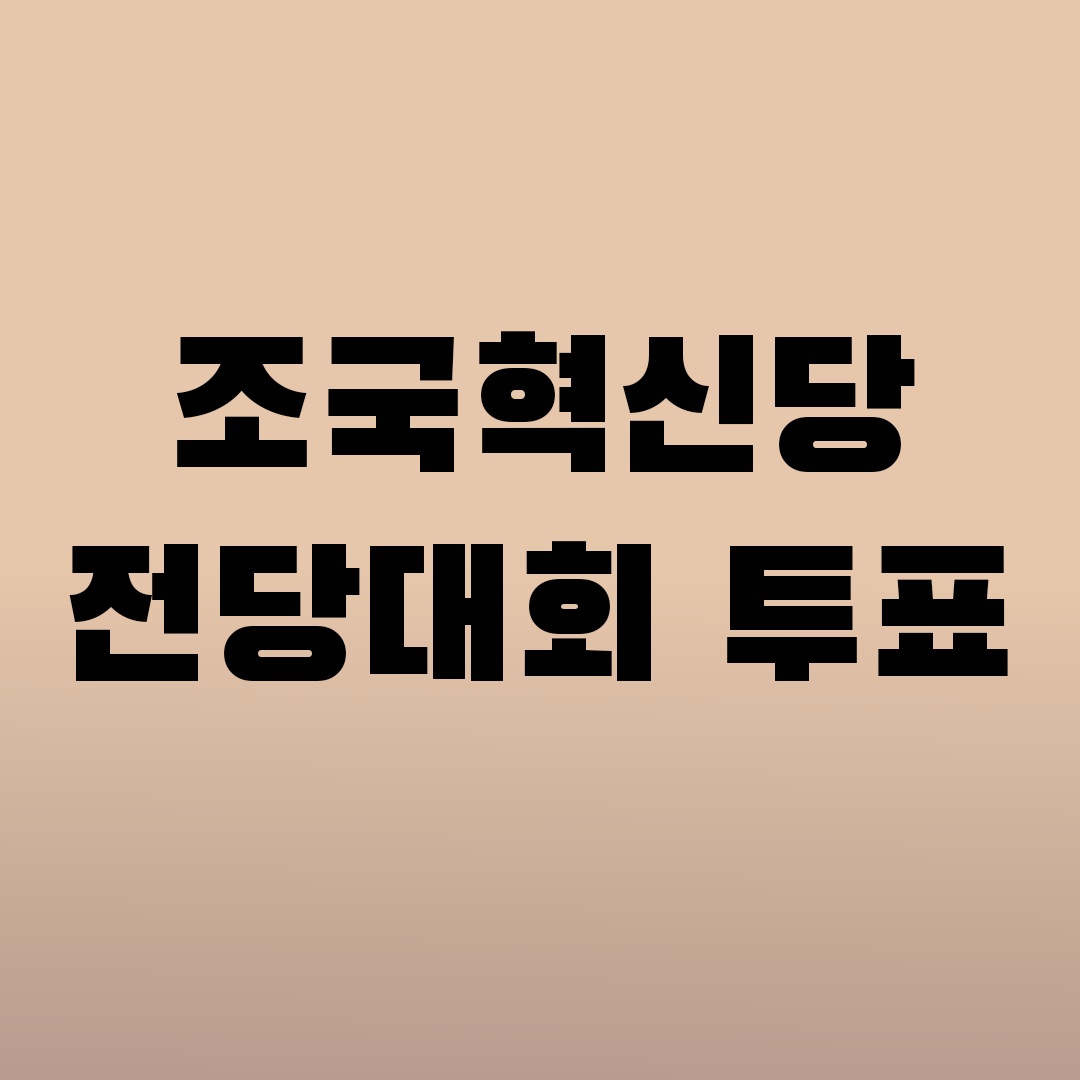 조국혁신당 전당대회 투표 당대표 최고위원