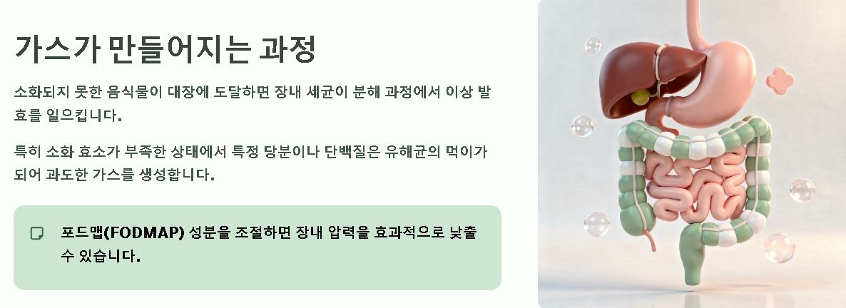 배에 가스가 차고 방귀를 자주 뀜