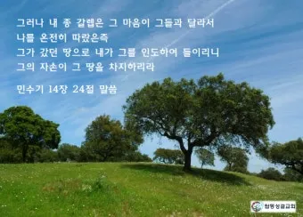 가나안 땅 이스라엘 민수기 13장_17