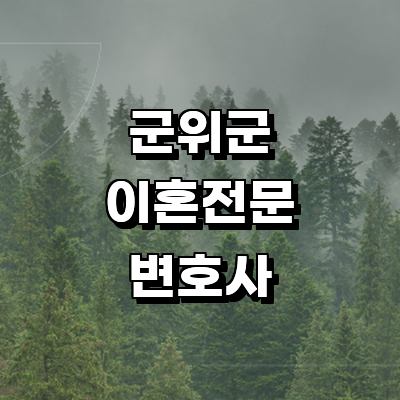 대구 군위군 이혼 변호사