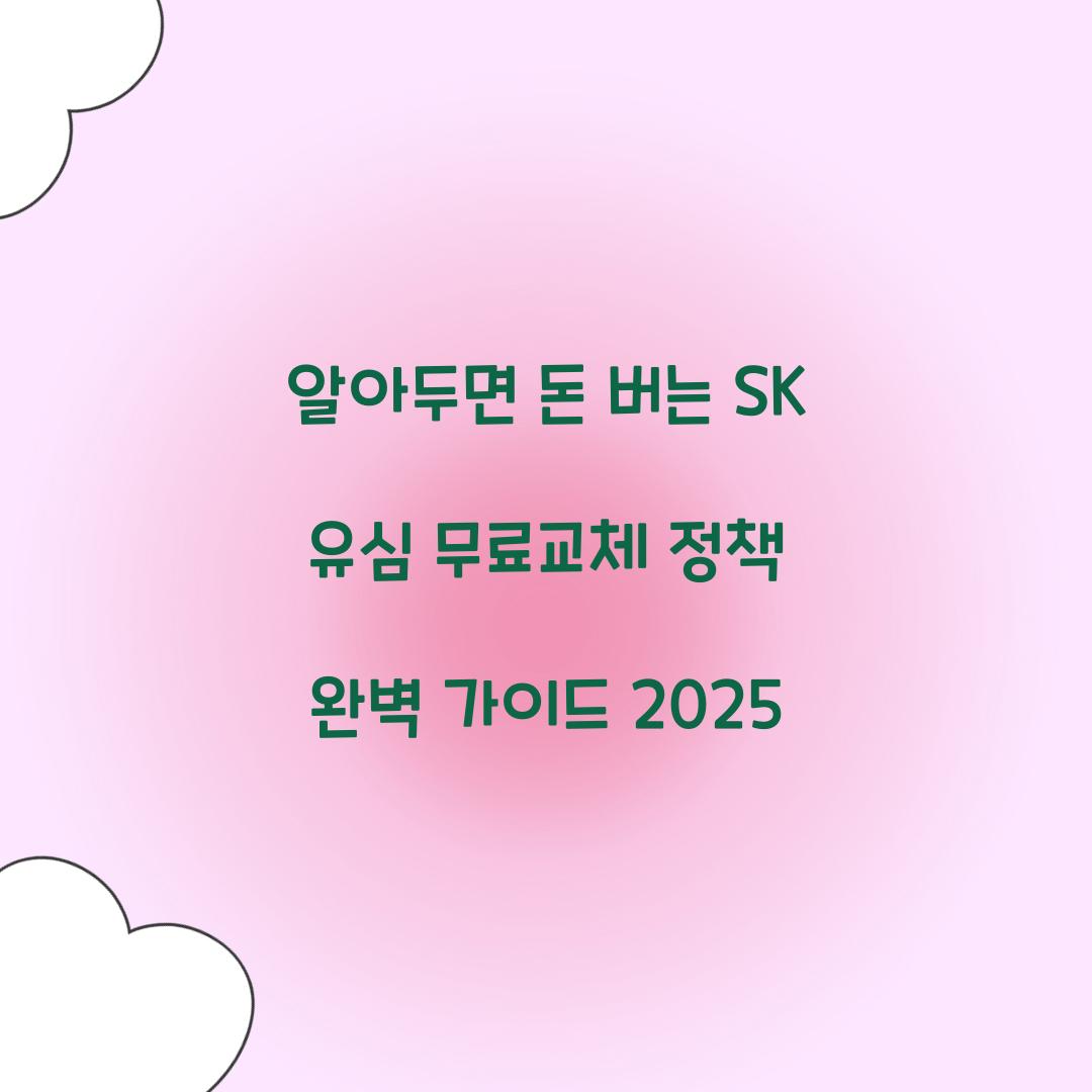알아두면 돈 버는 SK 유심 무료교체 정책의 모든 것