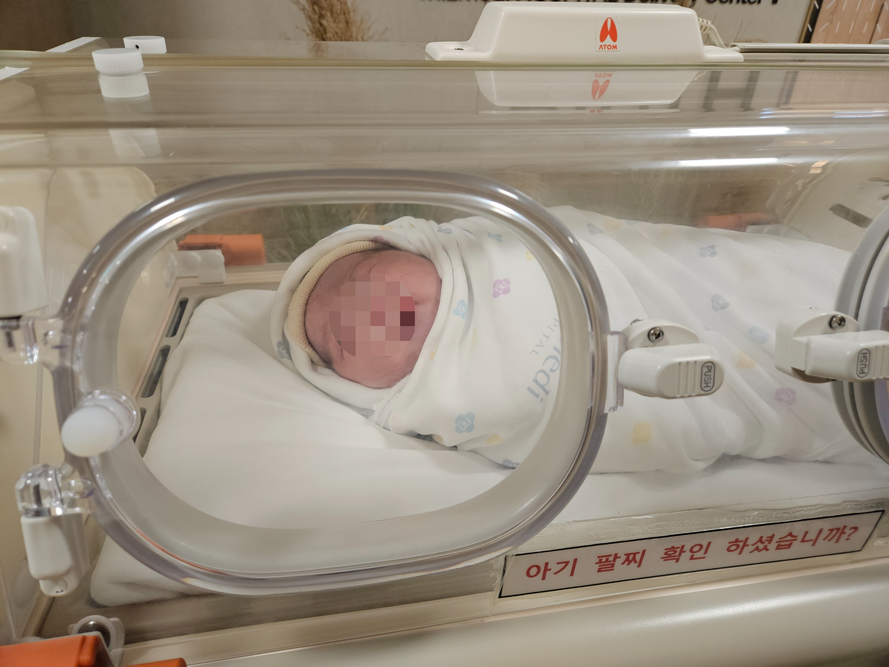 주호가 태어나다