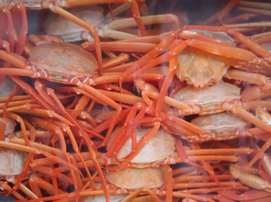 현대회수산 홍게&amp;#44; 굴찜