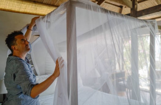 말라리아 증상 예방 치료 백신