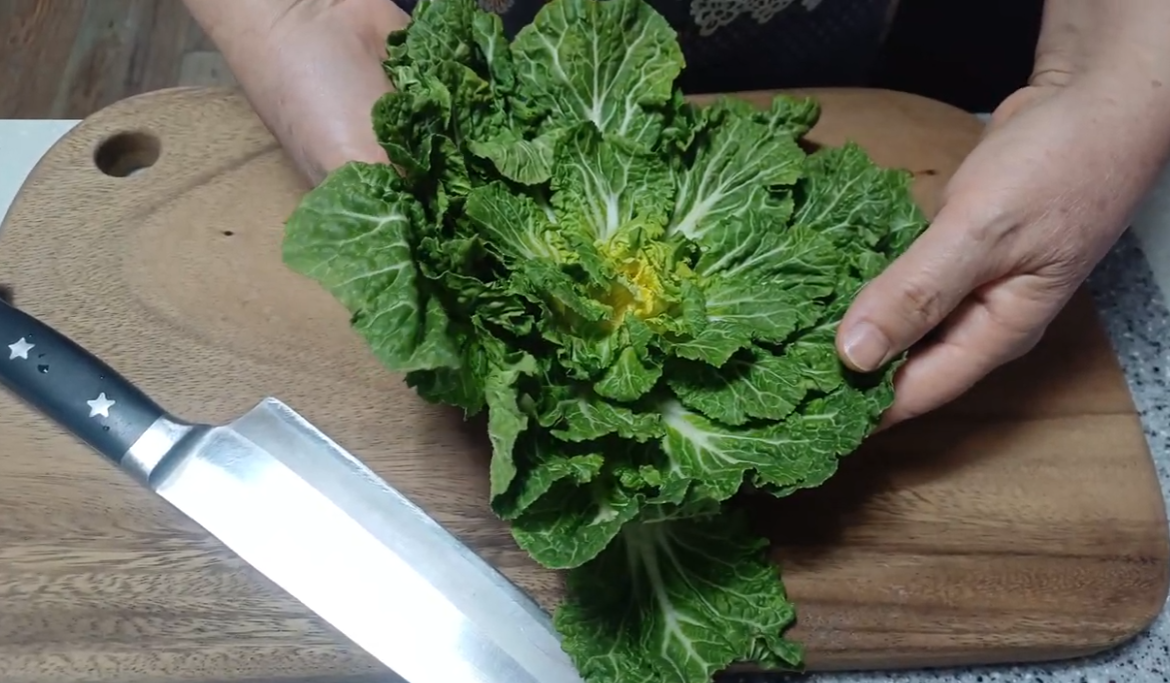 봄동 사진