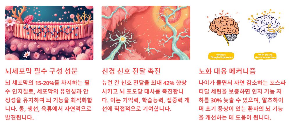 포스파티딜 세린이라?