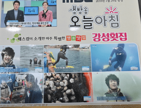 생방송투데이 자연산 멍게 한상