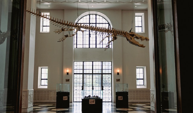 Smithsonian National Museum of Natural History