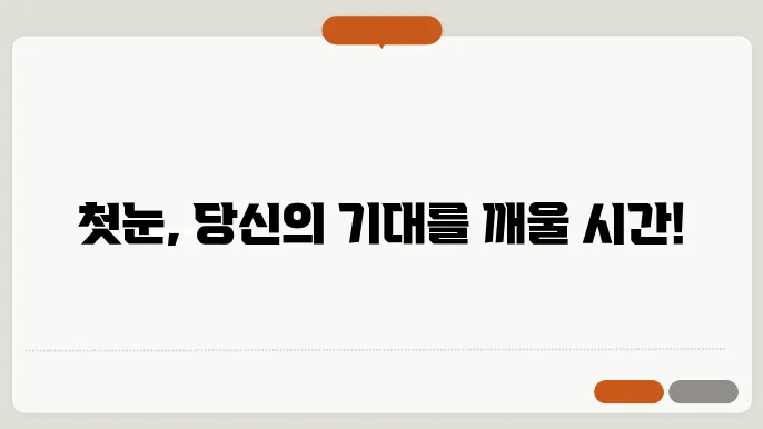 첫눈 시기