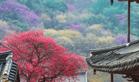 두꺼비집 내려감, 전기 나갔을 때 방법