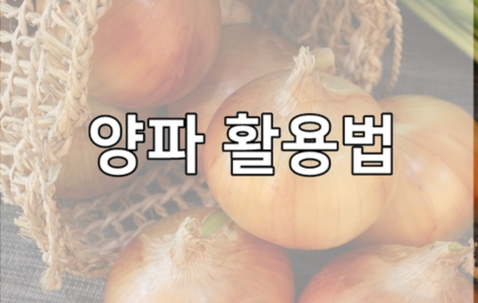 양파 활용법