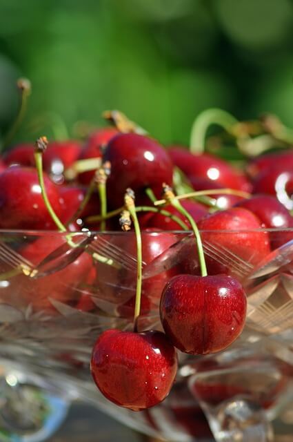 체리 세척, 체리 세척법, 체리 세척 방법, 체리 세척 식초, 체리 세척 베이킹소다, 체리 꼭지 세척, 체리 세척 후 보관, 체리 보관법, 체리 세척 보관법, 체리 냉장 보관, 체리 냉동 보관, 체리 물기 제거, 체리 세척 꿀팁, 체리 씻는법, 체리 신선도 유지, 체리 보관 꿀팁, 체리 줄기 보관, 체리 줄기 랩 포장, 체리 곰팡이 방지, 여름 과일 세척 보관