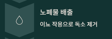  다이어트 차 3종 