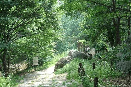 신선대02