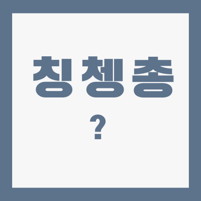 칭쳉총-뜻