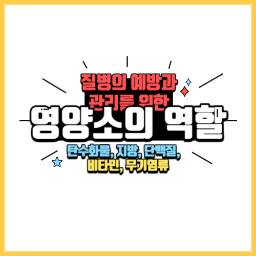 질병의 예방과 관리를 위한 영양소의 역할.