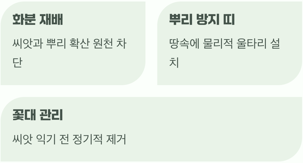 넷째, 통제하며 즐기는 현명한 식재 방법