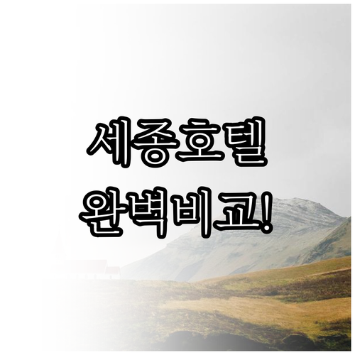 세종시 호텔 추천 베스트 5 위치부터..