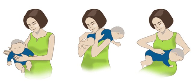 신생아 트림자세