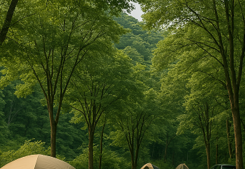 캠핑 관련 이미지