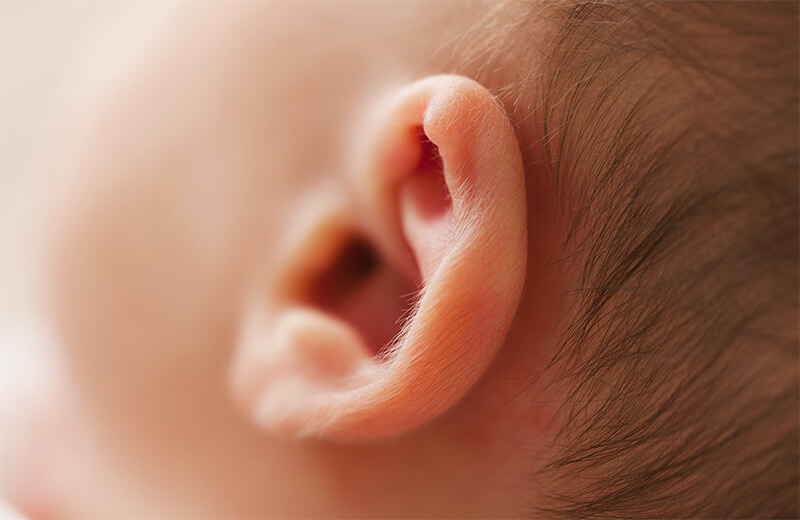 아기 귀 사진