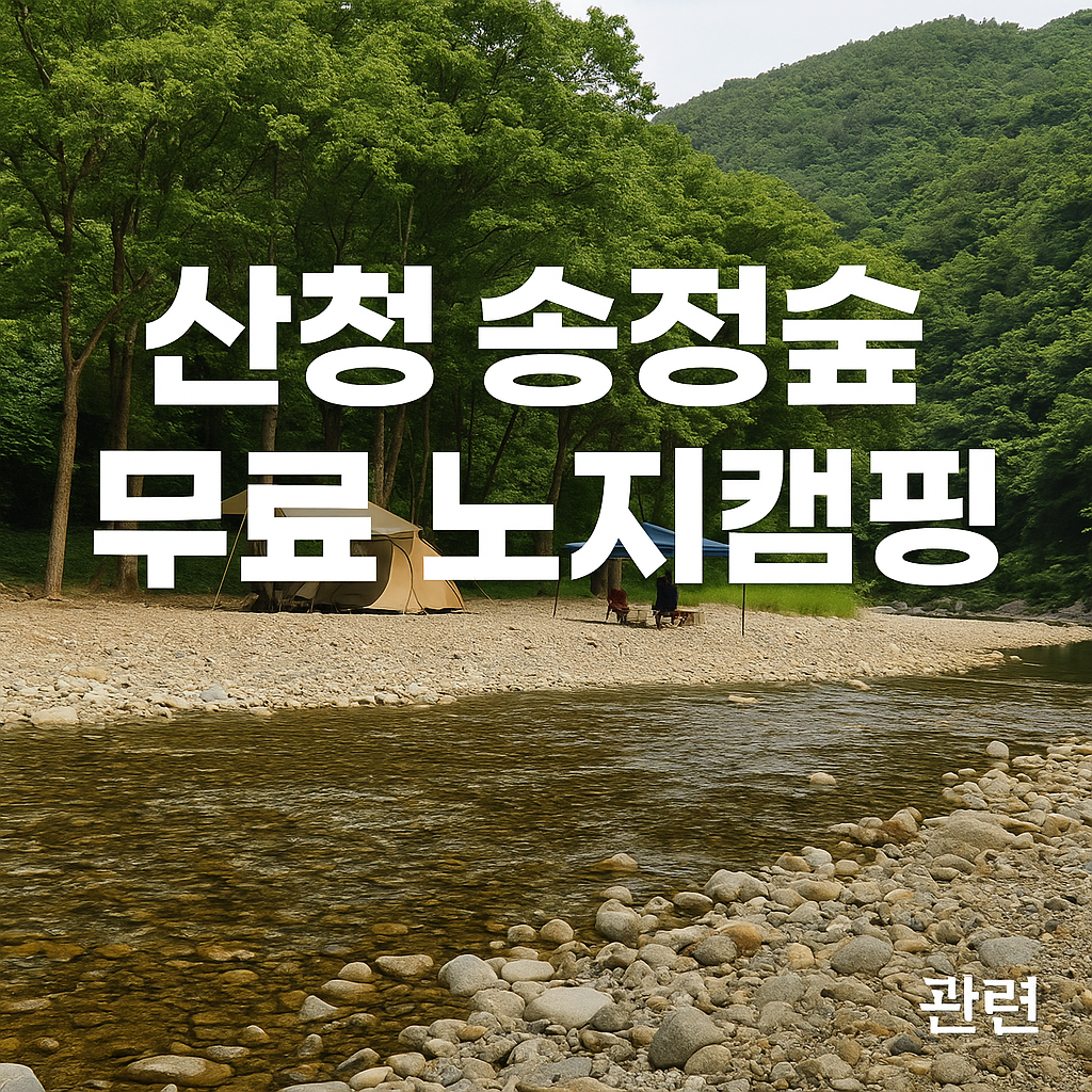 경남 산청 송정숲 무료 노지캠핑 완벽 가이드 및 필수준비물 [2025 캠핑 완전정복]